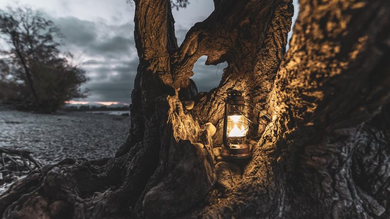 我的ip地址 示意图